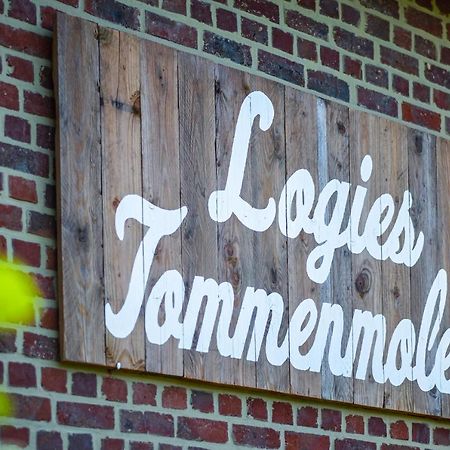 Logies Tommenmolen Lejlighed Grimbergen Eksteriør billede