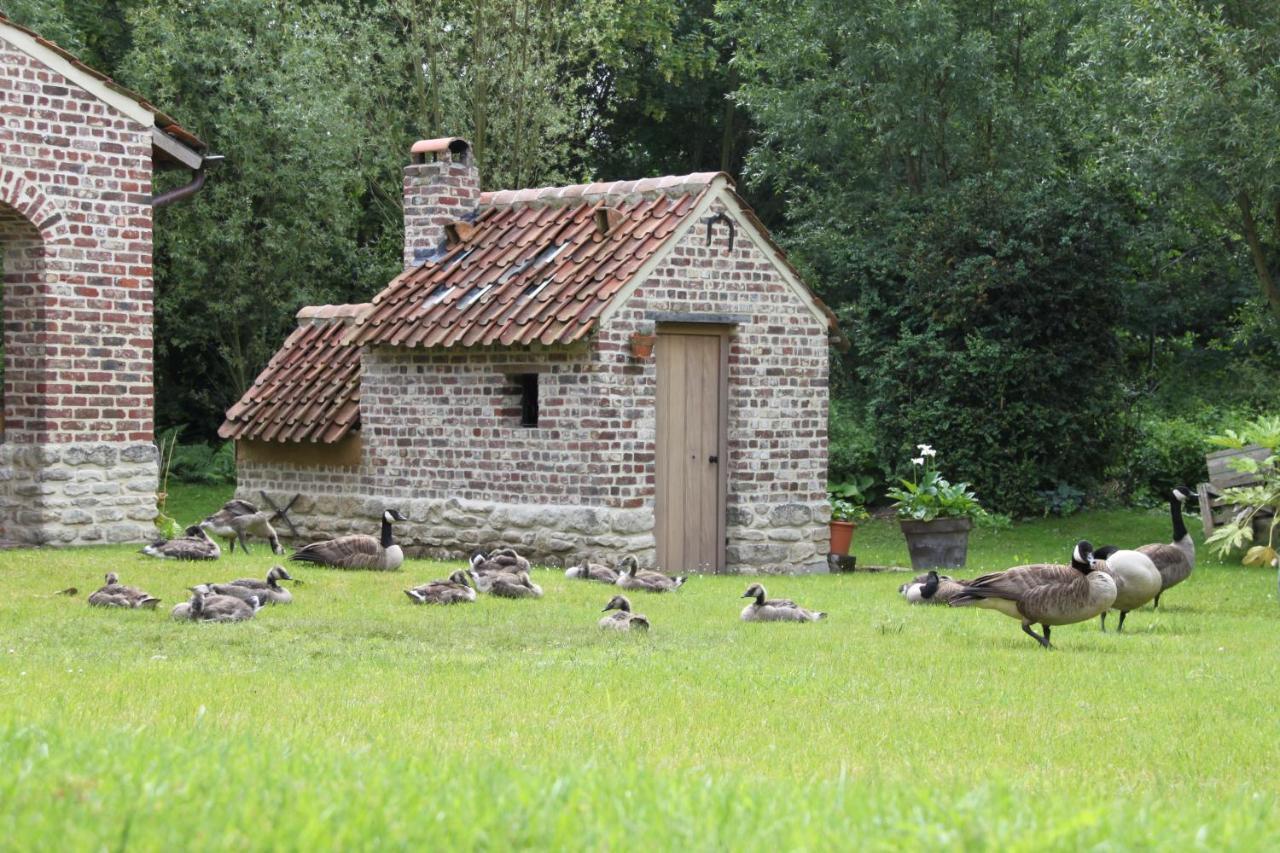 Logies Tommenmolen Lejlighed Grimbergen Eksteriør billede